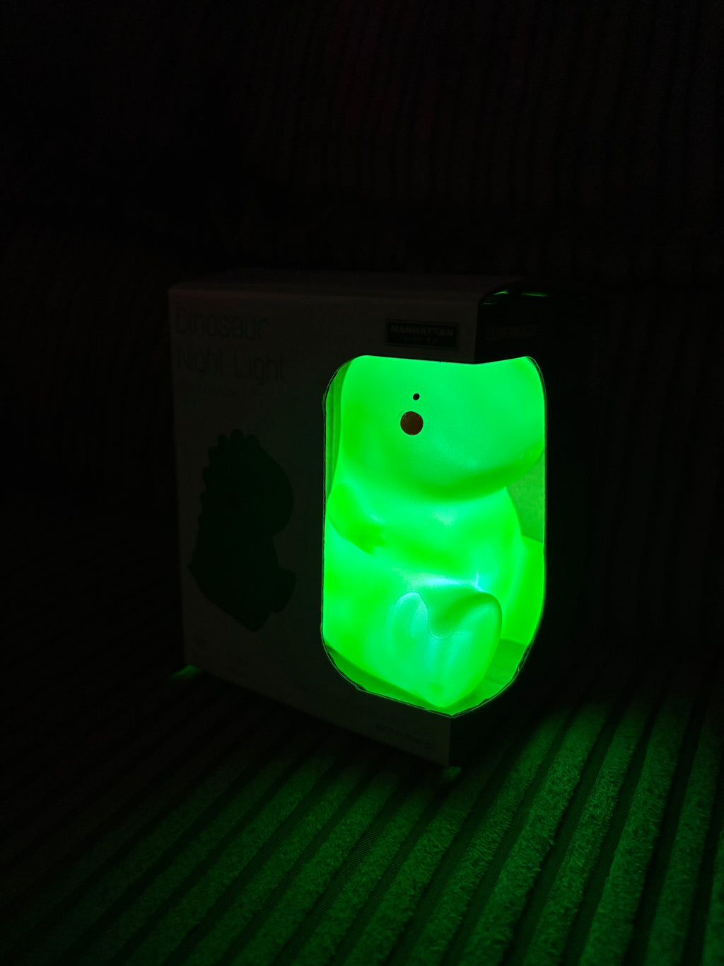 Glow in Dark Dinosaur Night Light