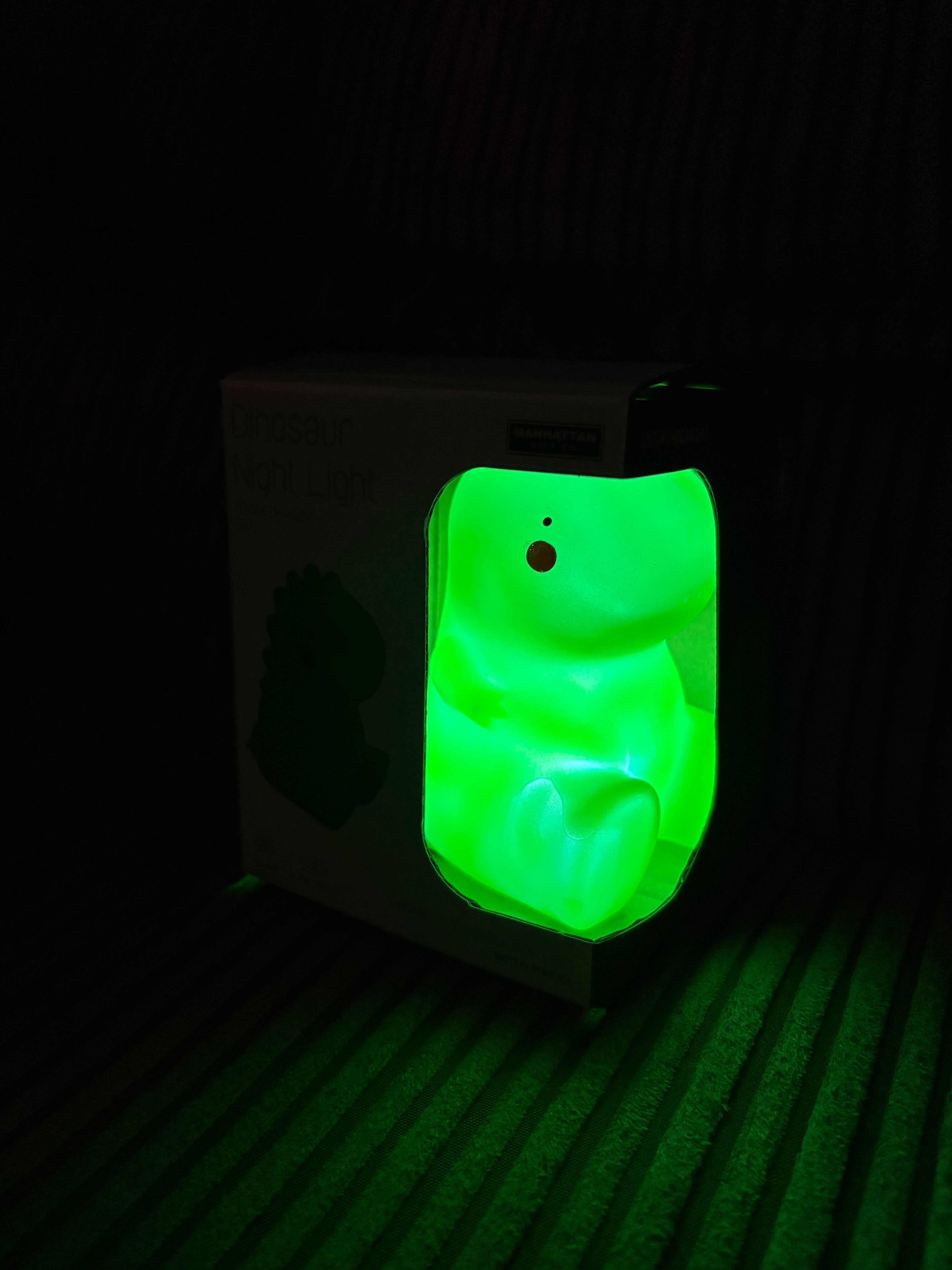 Glow in Dark Dinosaur Night Light