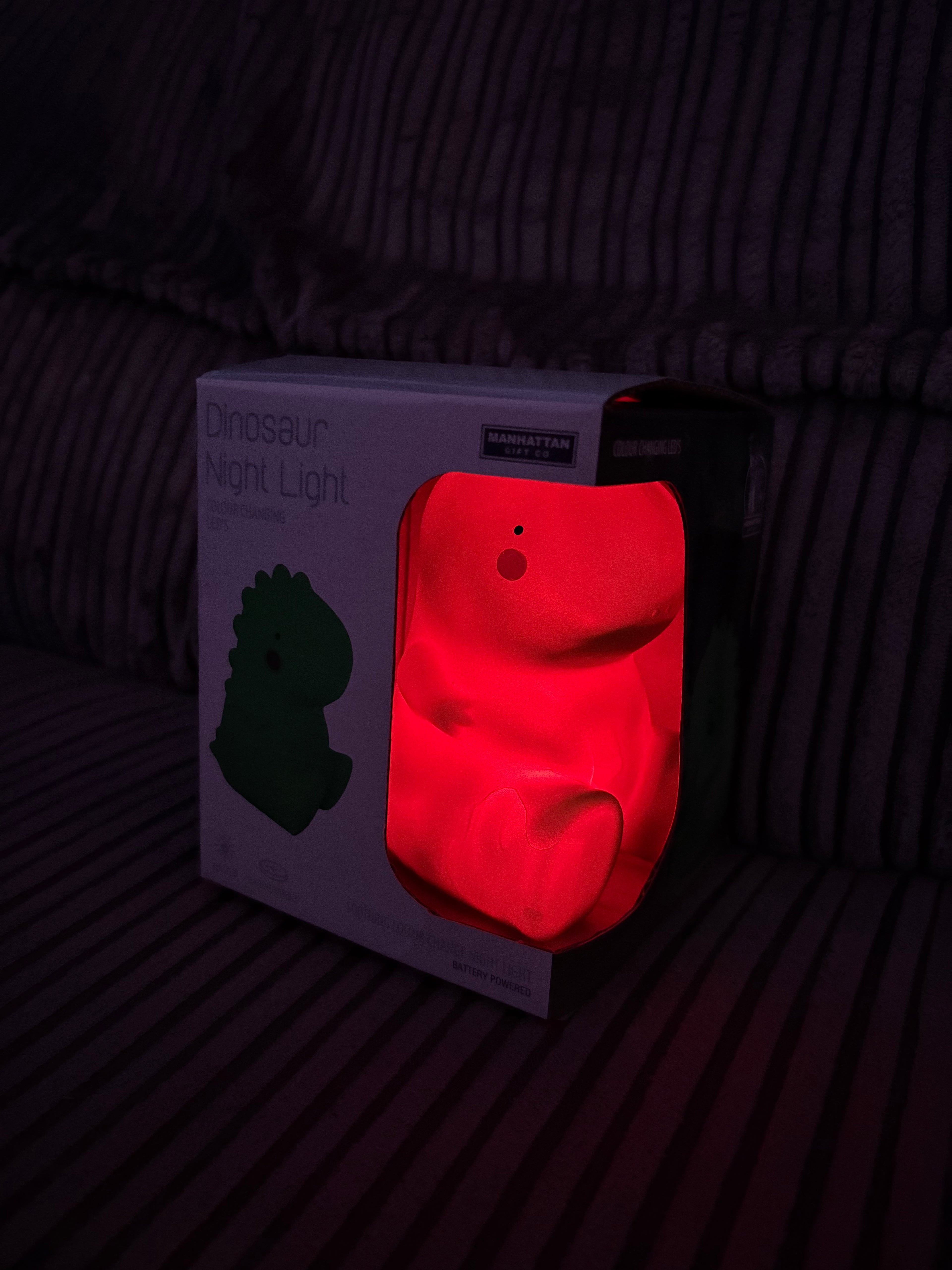 Glow in Dark Dinosaur Night Light