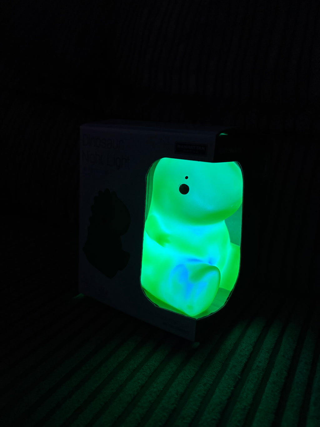 Glow in Dark Dinosaur Night Light