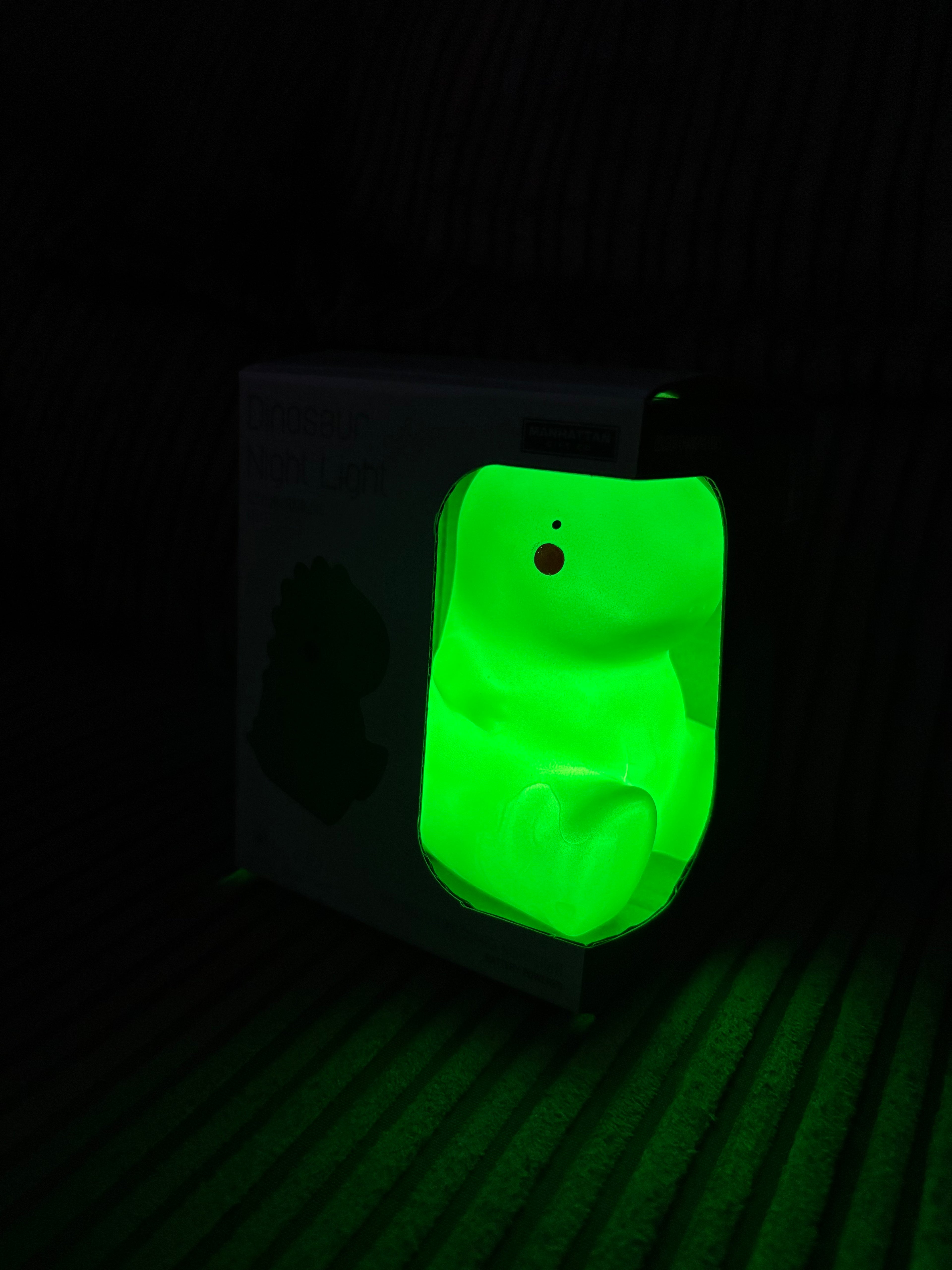 Glow in Dark Dinosaur Night Light