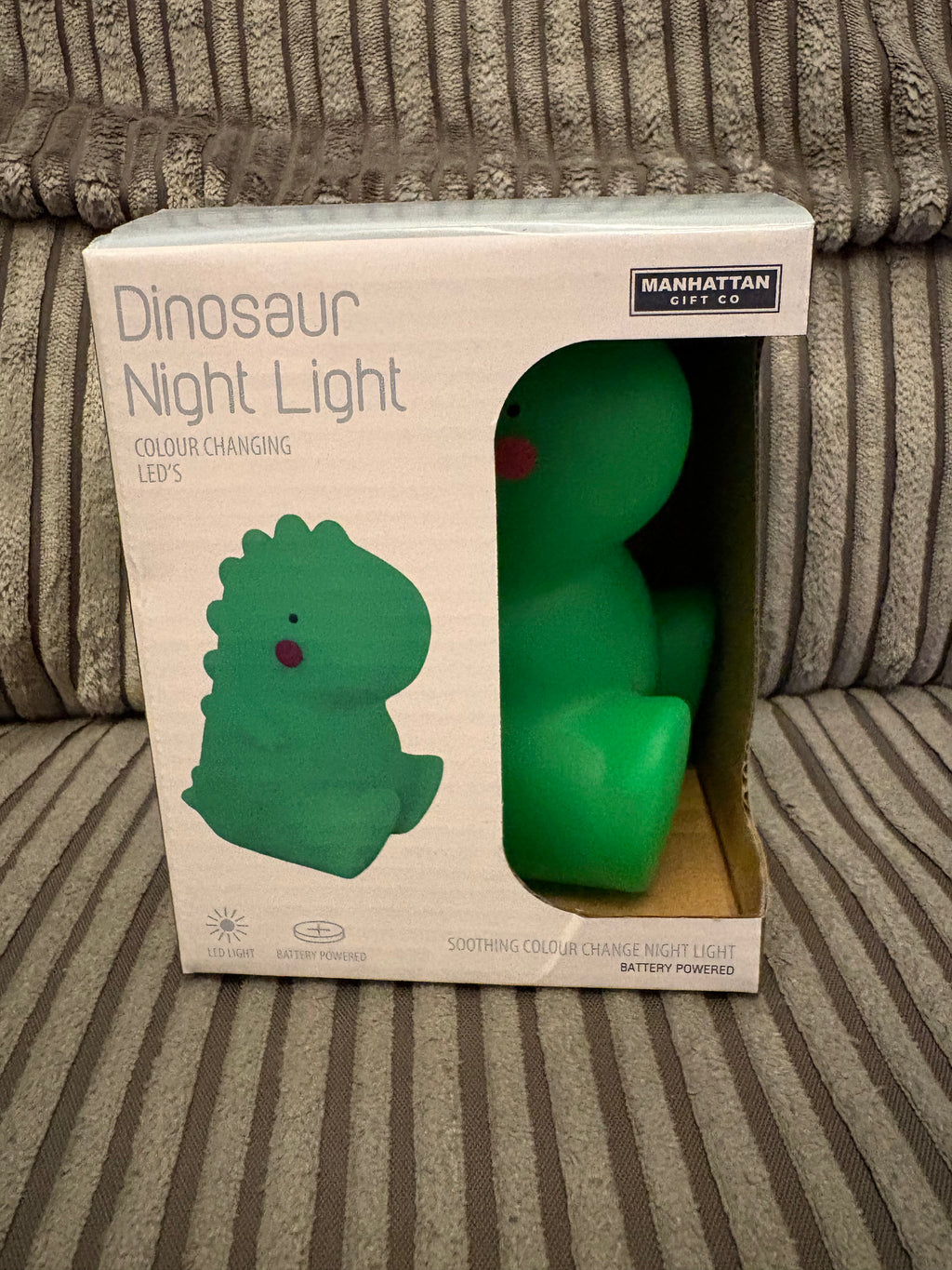 Glow in Dark Dinosaur Night Light